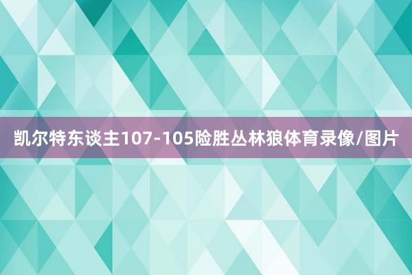 凯尔特东谈主107-105险胜丛林狼体育录像/图片