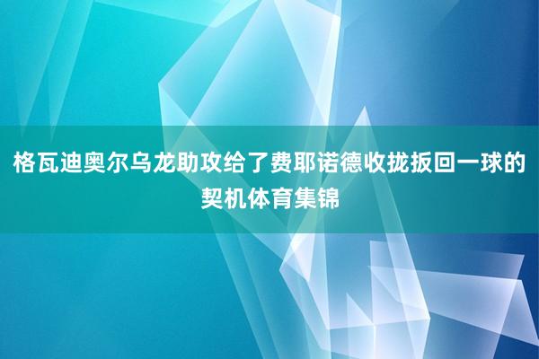 格瓦迪奥尔乌龙助攻给了费耶诺德收拢扳回一球的契机体育集锦