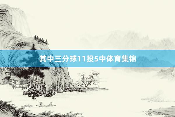 其中三分球11投5中体育集锦