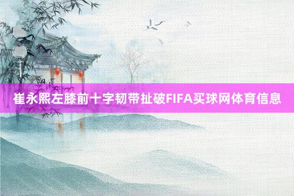 崔永熙左膝前十字韧带扯破FIFA买球网体育信息