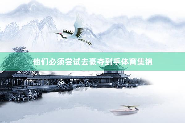 他们必须尝试去豪夺到手体育集锦